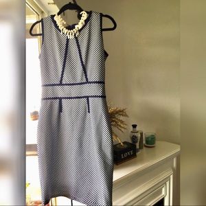 New York & Company S stretchy blue dress
